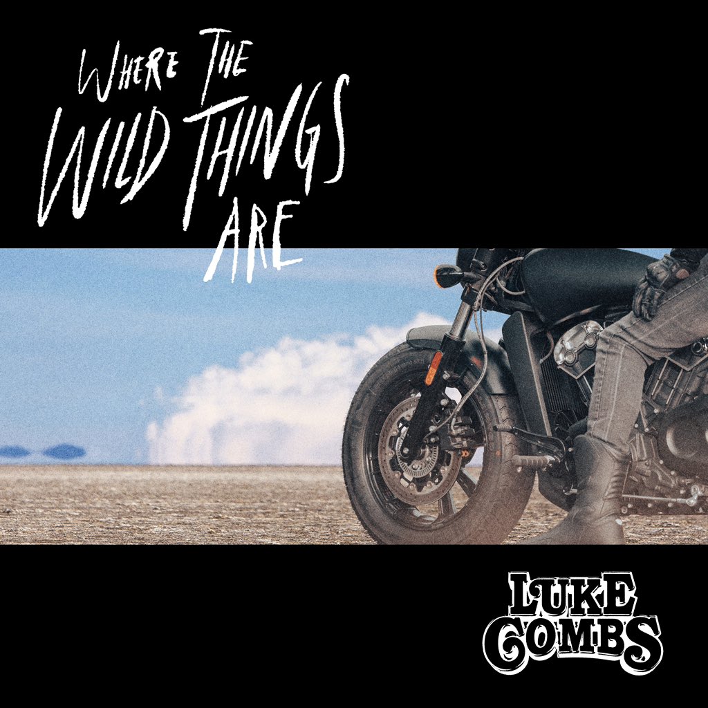 Where the Wild Things Are Luke Combs Lyrics
