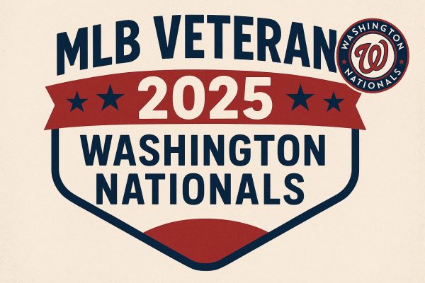 Washington Nationals Veteran Air Force 2025 Baseball Jersey for MLB Veteran 2025