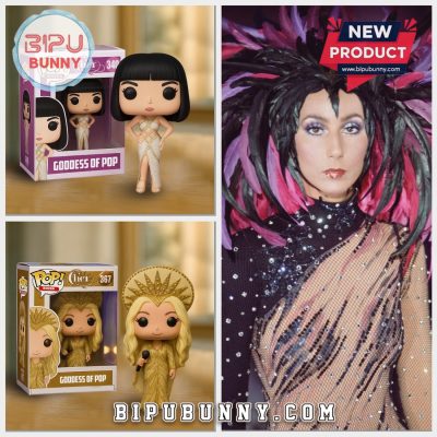 Cher Funko Vinyl Collectible Figure