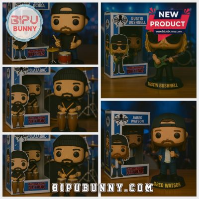 The Dirty Heads Vinyl Collectible Figure