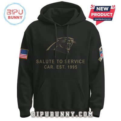 Carolina Panthers Nike 2025 Salute to Service Pullover Hoodie