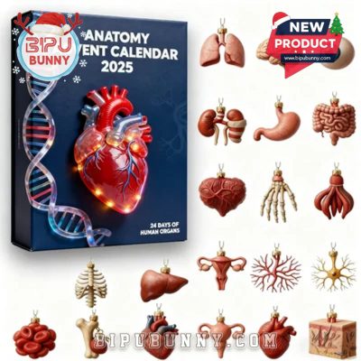 2025 Anatomy Advent Calendar