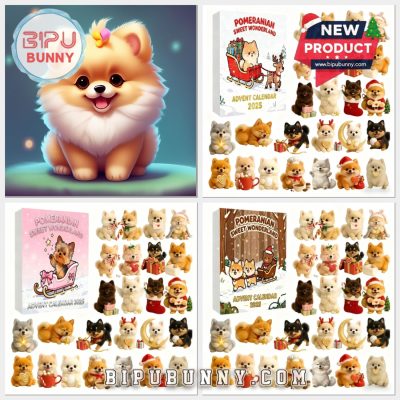 Dragon Advent Calendar, Countdown to Christmas 2025