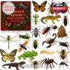 Enchanted Nature Advent Calendar 2025 with scale measurements and realistic miniature animals and insects displayed beside the box!