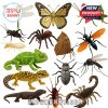 Realistic wildlife and insect miniatures from the advent calendar including scorpion, chameleon, butterfly, and jungle creatures!