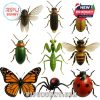 Lifelike insect miniatures featured in the Enchanted Nature Advent Calendar 2025, arranged in a clean layout to showcase variety and detail!