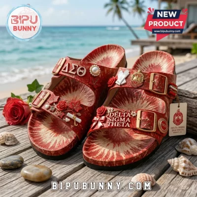 Delta Sigma Theta DST Sorority Custom Birkenstocks Shoes