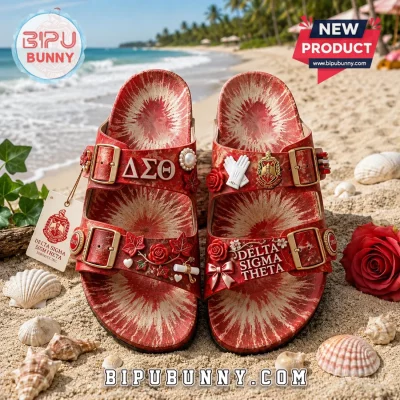 Delta Sigma Theta DST Sorority Custom Birkenstocks Shoes