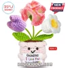 Crocheted potted flowers with a purple tulip, pink carnation, and white daisy held in a cream-colored smiling face pot.!
