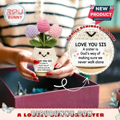 Sister Crochet Tulip Flowers Emotional Support Potted Plant