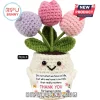 Crochet tulip plant in a white smiling pot holding a card with sentimental text about friendship on a white background.!