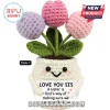 Crocheted tulip plant with a cream pot, holding a sign that reads Love You Sis, A sister is God's way of making sure.!