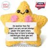 Yellow crochet star plush toy with pink cheeks and black eyes, holding a sign with text about friendship and stars.!