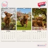 Front view of April, May, and June pages of the 2027 Grumpy Highland Cows Calendar featuring cattle photos.