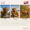 Front view of a 2027 calendar featuring grumpy Highland cows for July, August, and September.