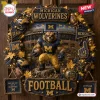 Michigan Wolverines Football Decorative Wreath featuring a wolverine mascot, team helmets, stadium background, and LEDs.