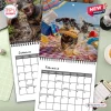 Angled view of the Naughty Dachshunds 2027 Wall Calendar showing January and February monthly pages.