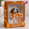 Front view of a Tennessee Volunteers crochet mascot car ornament inside its orange retail box.