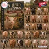 Front view of A Herd of Pigs Pig Animal Advent Calendar with box and twenty four acrylic pig ornaments displayed on wood.