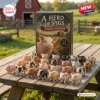 Front view of A Herd of Pigs Pig Animal Advent Calendar box with miniature toy pigs on a wooden table.