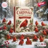 Front view of the Christmas Cardinals 2026 Advent Calendar box surrounded by small red cardinal figurines in a snowy forest.