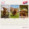 Front view of Grumpy Highland Cows 2027 Wall Calendar showing April, May, and June pages.