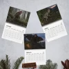 Top view of three open pages from the Nicolas Cage Cryptids 2027 Wall Calendar showing January, February, and March layouts.