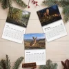 Flat lay of the Nicolas Cage Cryptids 2027 Wall Calendar open to July, August, and September with pine tree decor.